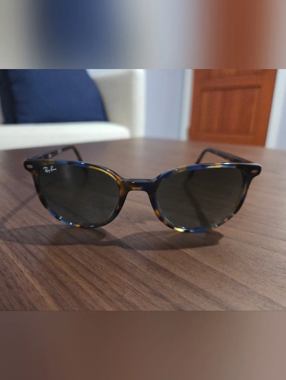 Ray-Ban ELLIOT Sunglasses 🕶️